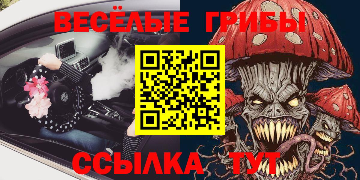 Галлюциногенные грибы Psilocybine cubensis Нововоронеж