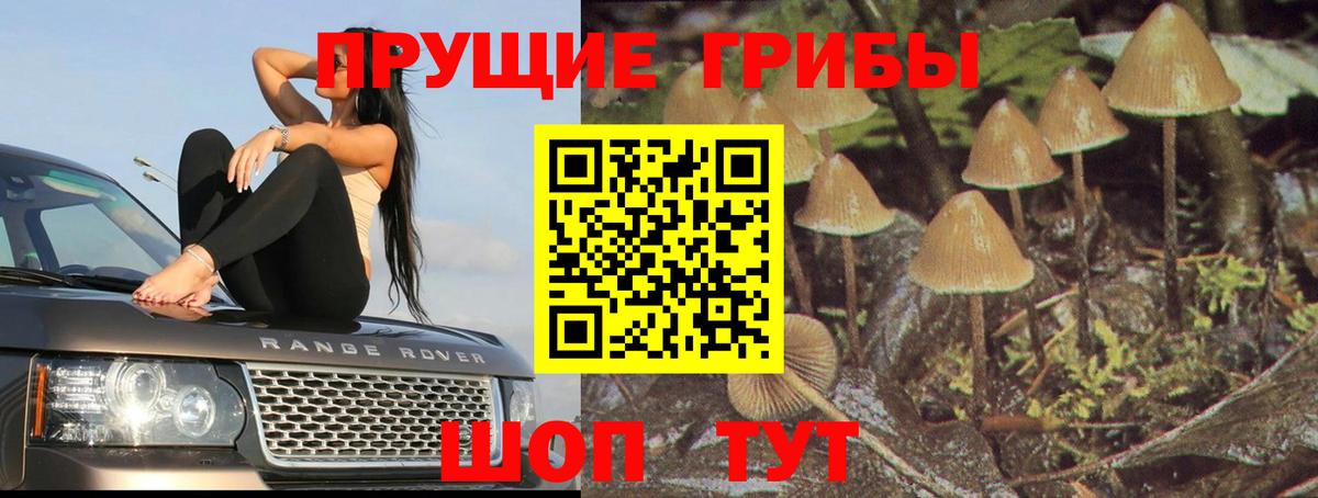 Псилоцибиновые грибы Psilocybe  Вход с VPN  Нововоронеж 